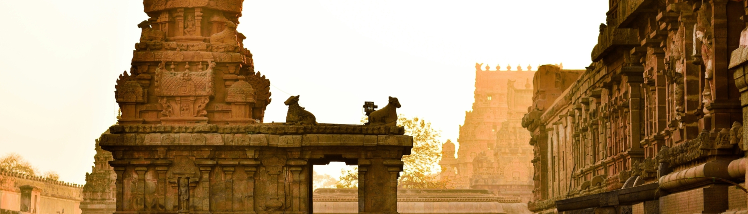 ramakrishnan-nataraj-SzMR1Vcf5aw-unsplash