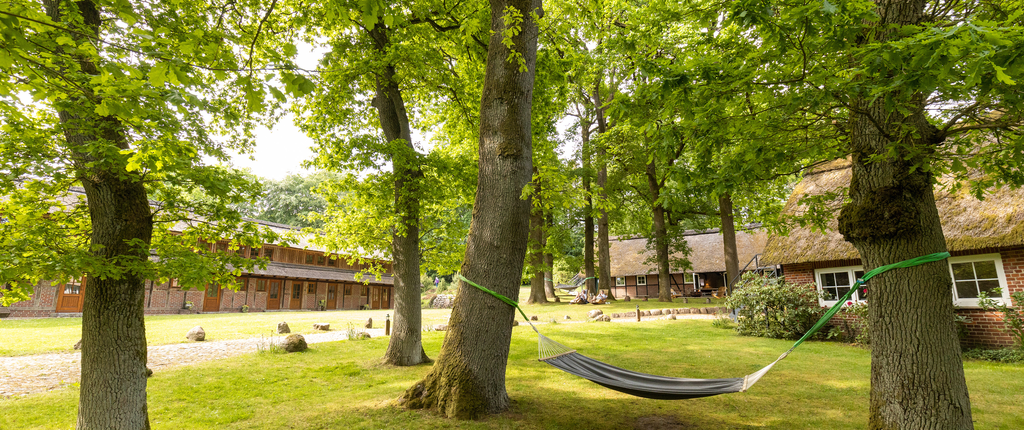Bispingen_Oberhaverbeck_Stimbekhof_ccbysa_tl_20220519-34